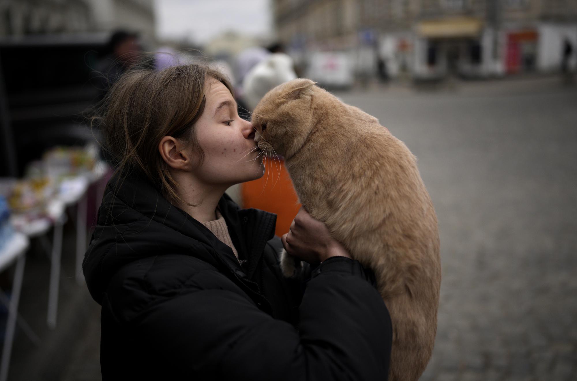 UAID dierenvoer naar Oekraïne